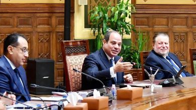 الرئيس السيسي يستقبل وفداً من رجال الأعمال والمستثمرين المصريين