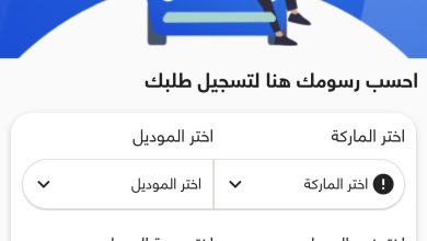 سيارات المصريين بالخارج