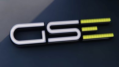 GSE