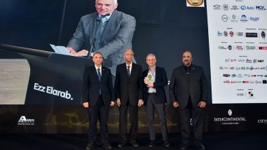 عز العرب