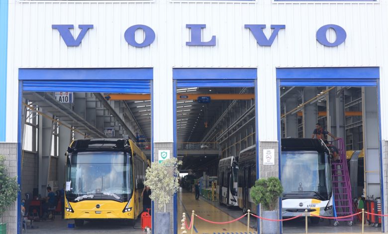 «MCV»