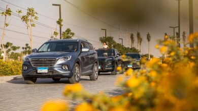 قصراوي جروب