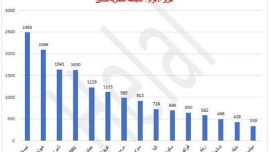 السيارات الملاكي