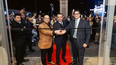 SN Automotive دونج فينج