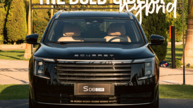 S08-DM