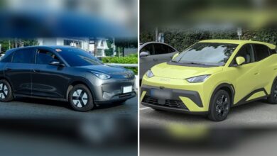 جيلي EX2 رمادي وBYD دولفين سيرف خضرا جنب بعض